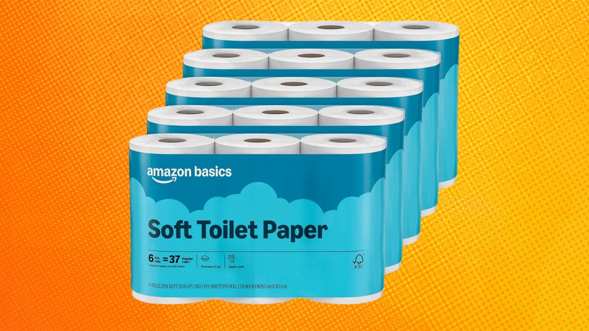Amazon Basics 2-Ply Soft Toilet Paper Review: Budget-Friendly Comfort for Everyday Use 