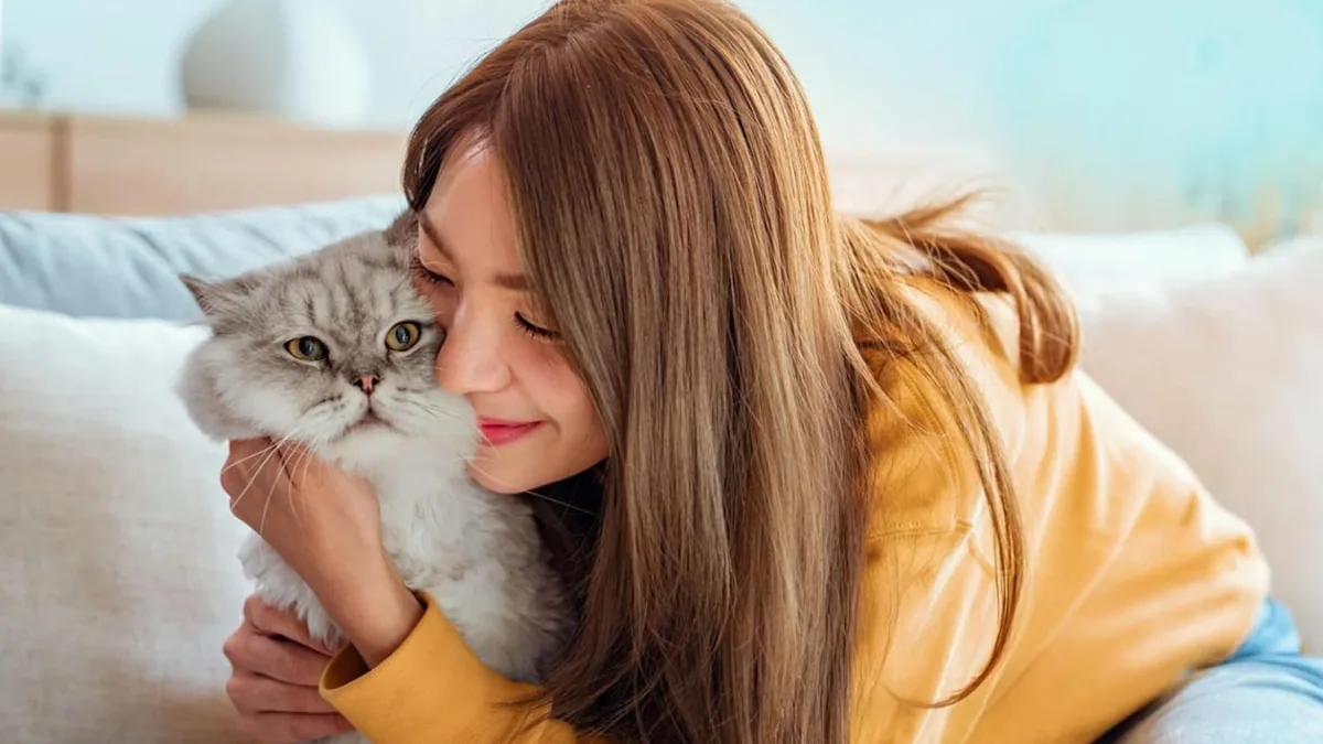 NOVEHA 150 PCs Cat Ear Wipes: A Gentle Ear Cleaning Solution for Sensitive Cats