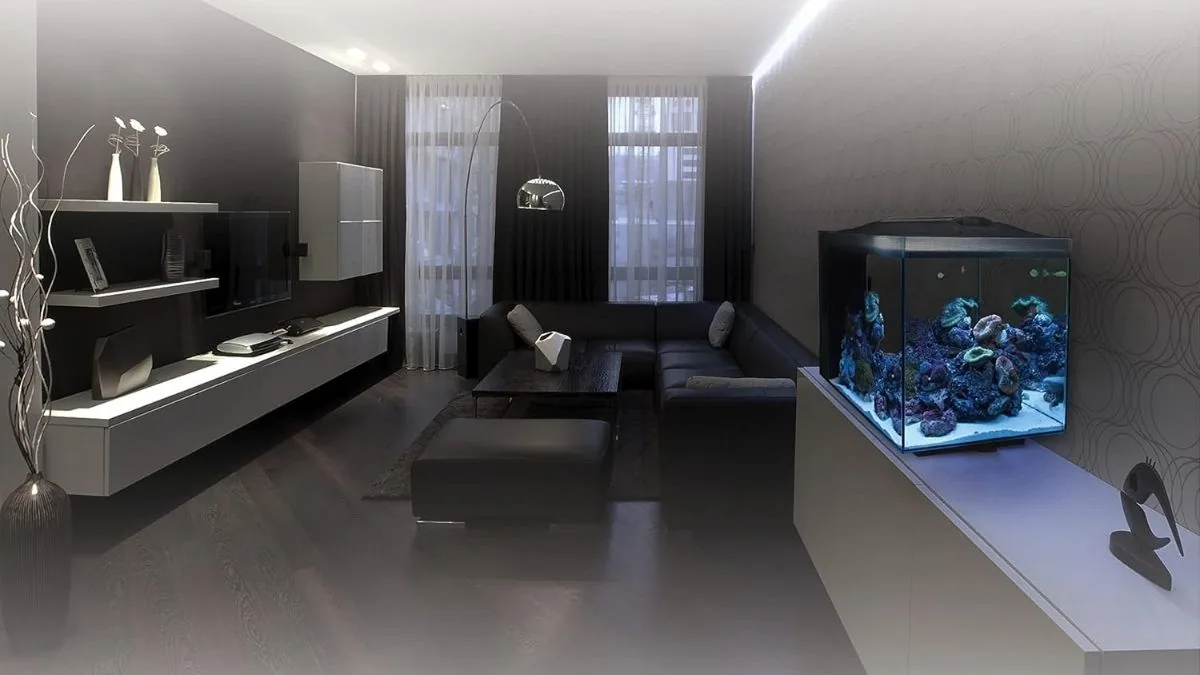Fluval Evo XII Saltwater Aquarium Kit Review: A Compact Reef Tank With Premium Features