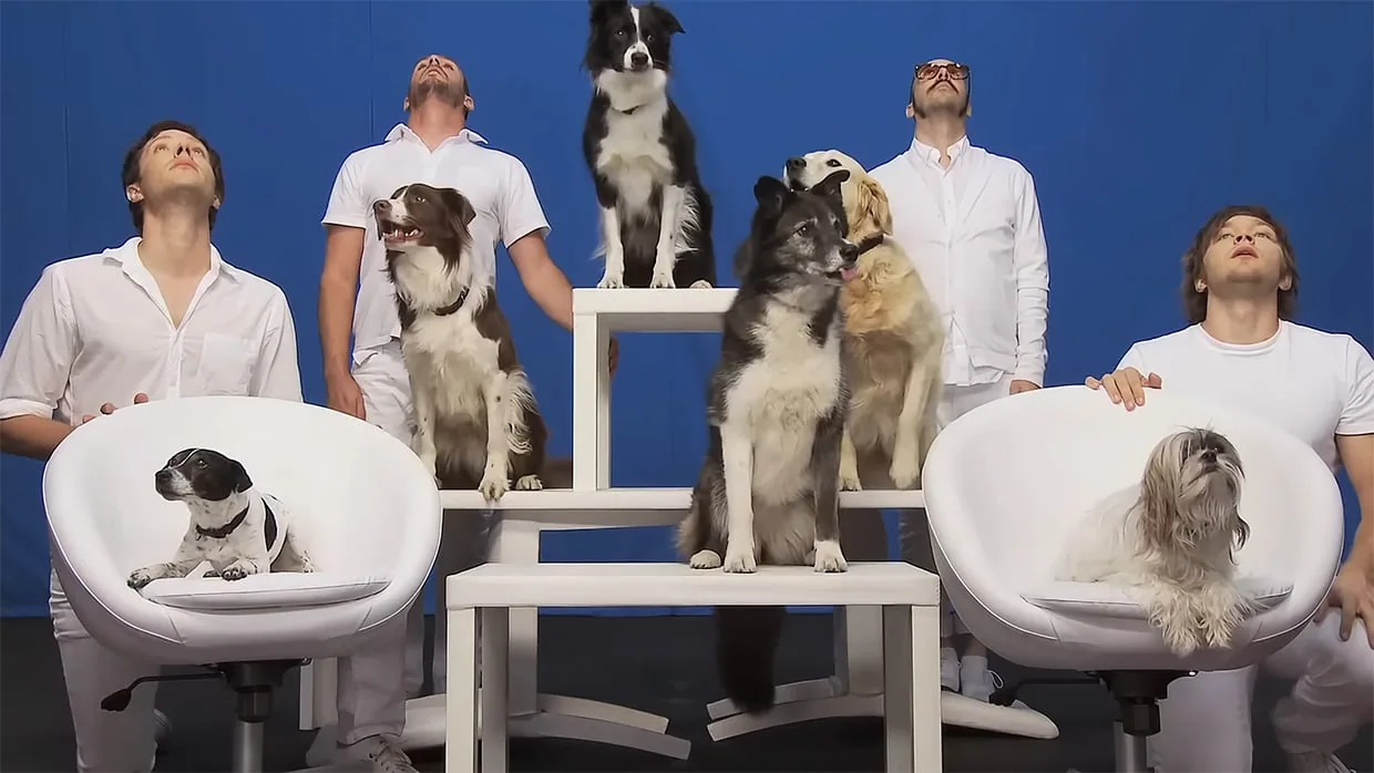 OK Go’s Dog Video Celebrates 16 Years
