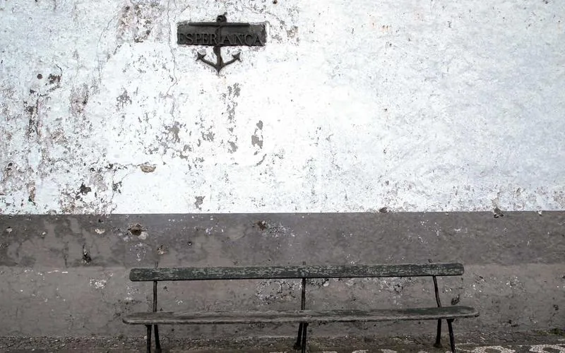 Protests Erupt Across Major Cities Over Economic Policies