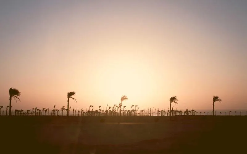 Rising Indie Artist Sweeps the Major Music Awards