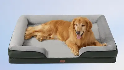 Bedsure XXL Orthopedic Dog Bed for Extra Large Dogs: A Comfortable Resting Choice Available on Amazon