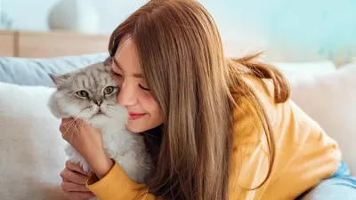 NOVEHA 150 PCs Cat Ear Wipes: A Gentle Ear Cleaning Solution for Sensitive Cats