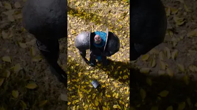 Knight and the Snail (Teaser)
